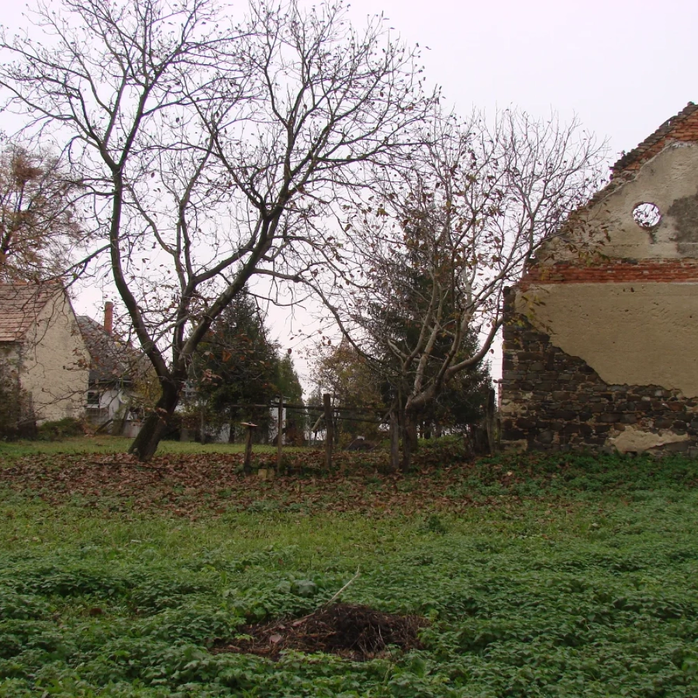Udvar